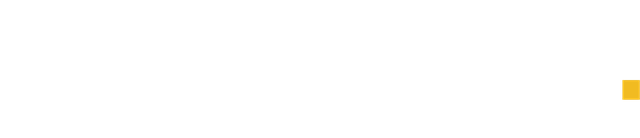 Borderless Technologies Ltd